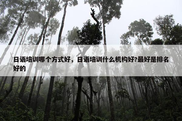日语培训哪个方式好，日语培训什么机构好?最好是排名好的