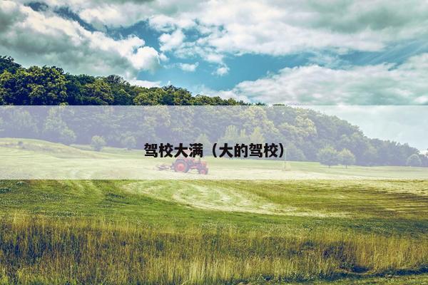 驾校大满（大的驾校）