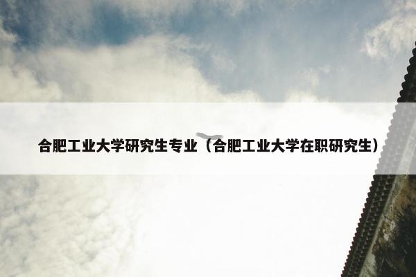 合肥工业大学研究生专业（合肥工业大学在职研究生）