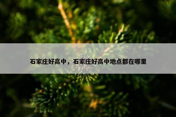 石家庄好高中，石家庄好高中地点都在哪里