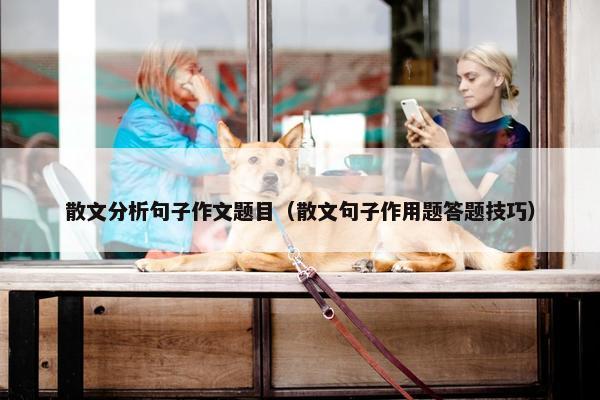 散文分析句子作文题目（散文句子作用题答题技巧）