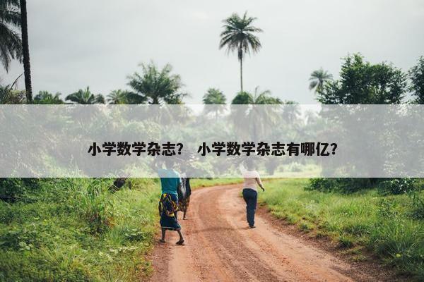 小学数学杂志？ 小学数学杂志有哪亿？