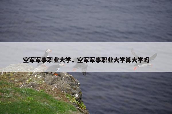 空军军事职业大学，空军军事职业大学算大学吗