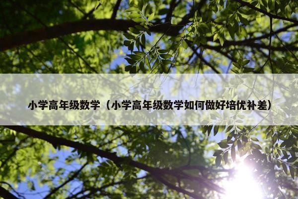 小学高年级数学（小学高年级数学如何做好培优补差）