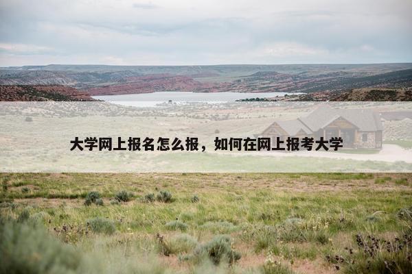 大学网上报名怎么报，如何在网上报考大学