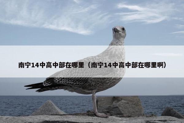 南宁14中高中部在哪里（南宁14中高中部在哪里啊）