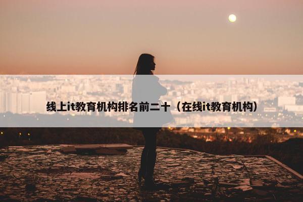 线上it教育机构排名前二十（在线it教育机构）