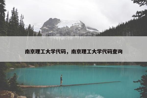 南京理工大学代码，南京理工大学代码查询