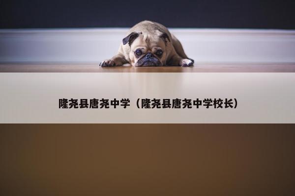 隆尧县唐尧中学（隆尧县唐尧中学校长）