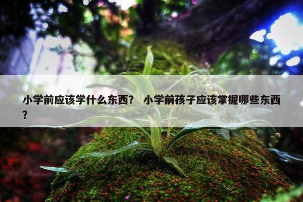 小学前应该学什么东西？ 小学前孩子应该掌握哪些东西？