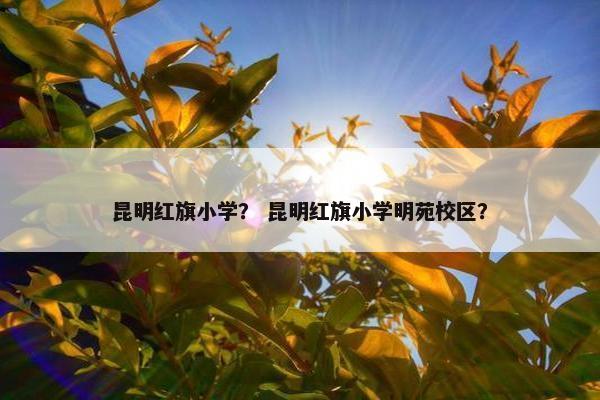 昆明红旗小学？ 昆明红旗小学明苑校区？