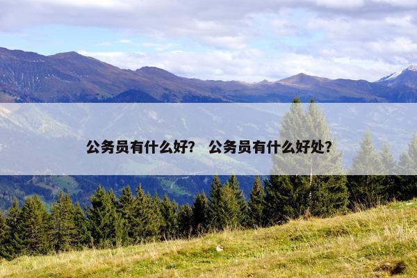 公务员有什么好？ 公务员有什么好处？