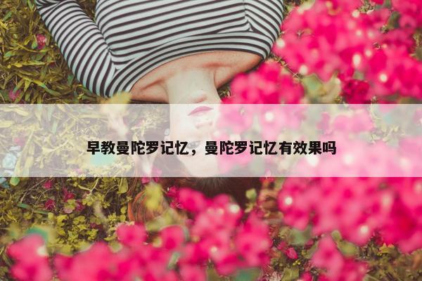 早教曼陀罗记忆，曼陀罗记忆有效果吗