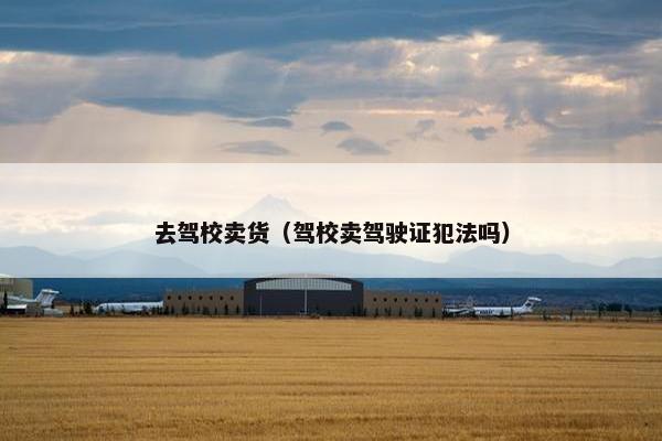 去驾校卖货（驾校卖驾驶证犯法吗）