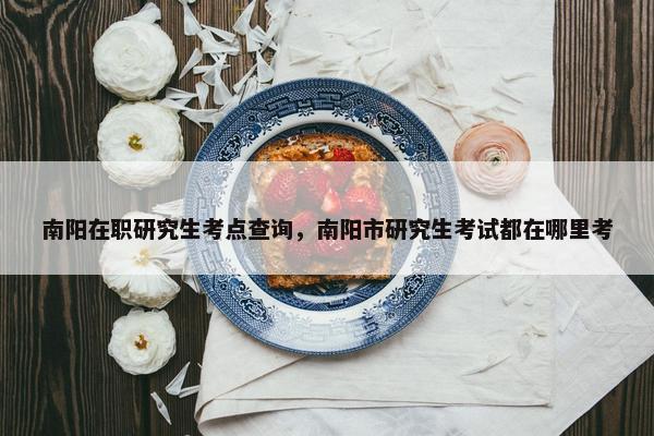 南阳在职研究生考点查询，南阳市研究生考试都在哪里考