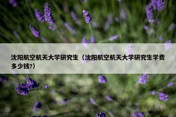 沈阳航空航天大学研究生（沈阳航空航天大学研究生学费多少钱?）
