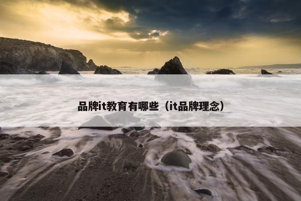 品牌it教育有哪些（it品牌理念）