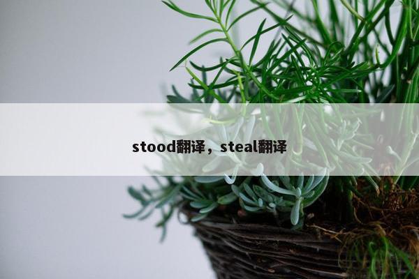 stood翻译，steal翻译