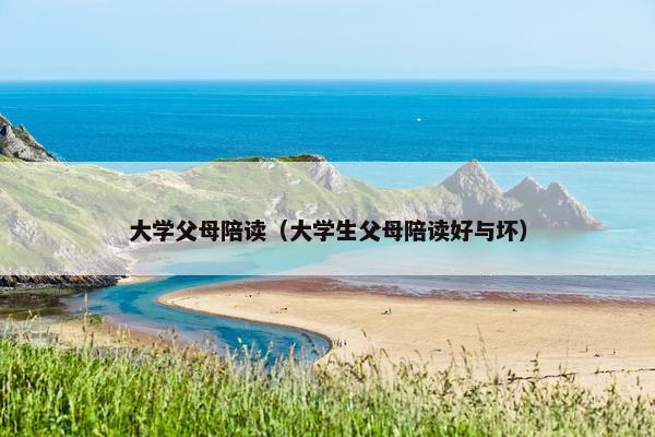 大学父母陪读（大学生父母陪读好与坏）