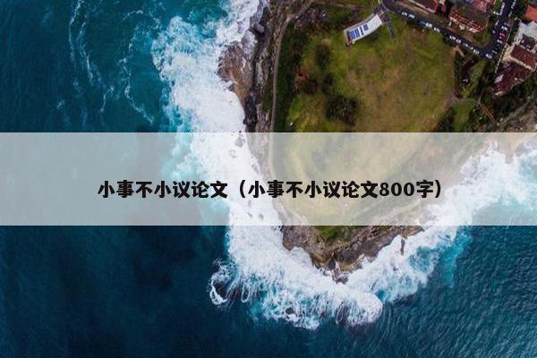 小事不小议论文（小事不小议论文800字）