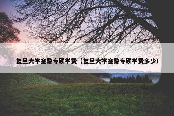 复旦大学金融专硕学费（复旦大学金融专硕学费多少）