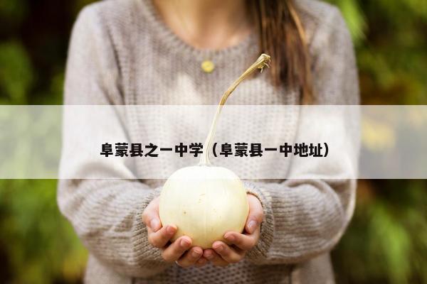 阜蒙县之一中学（阜蒙县一中地址）