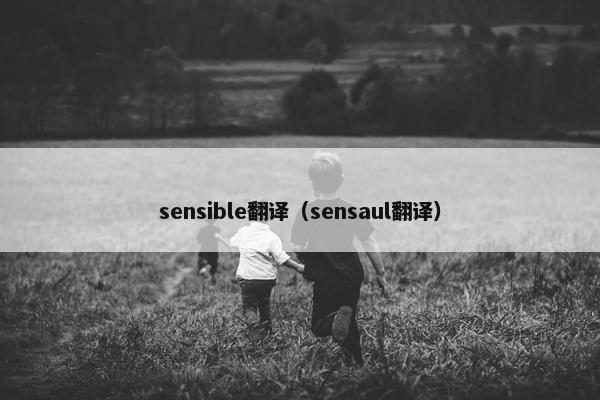sensible翻译（sensaul翻译）