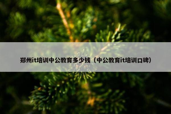 郑州it培训中公教育多少钱（中公教育it培训口碑）