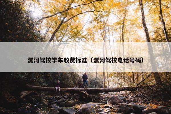 漯河驾校学车收费标准（漯河驾校电话号码）