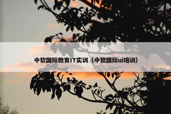 中软国际教育IT实训（中软国际ui培训）