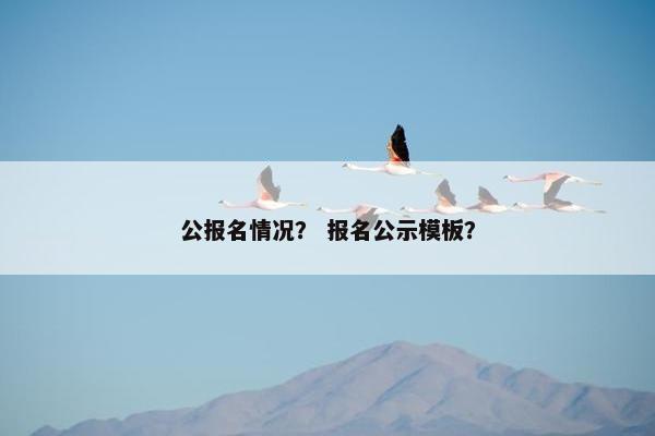 公报名情况？ 报名公示模板？