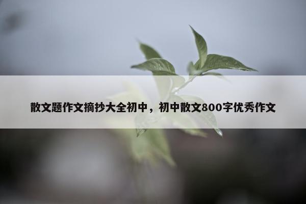散文题作文摘抄大全初中，初中散文800字优秀作文