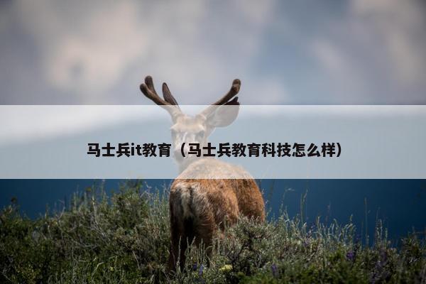 马士兵it教育（马士兵教育科技怎么样）