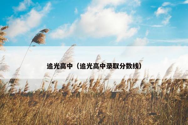 追光高中（追光高中录取分数线）