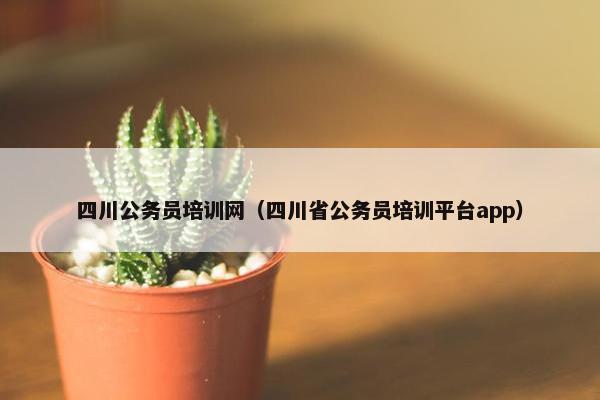四川公务员培训网（四川省公务员培训平台app）