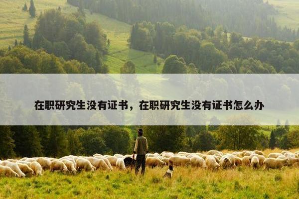 在职研究生没有证书，在职研究生没有证书怎么办