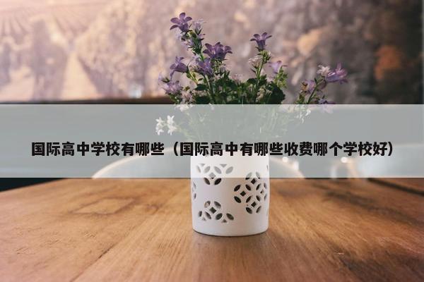 国际高中学校有哪些（国际高中有哪些收费哪个学校好）