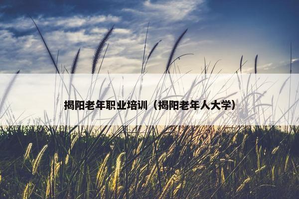 揭阳老年职业培训（揭阳老年人大学）