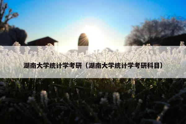 湖南大学统计学考研（湖南大学统计学考研科目）