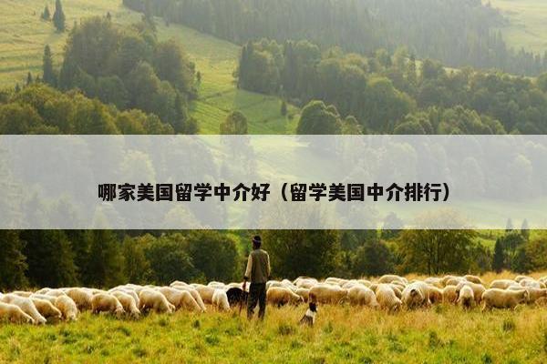 哪家美国留学中介好（留学美国中介排行）