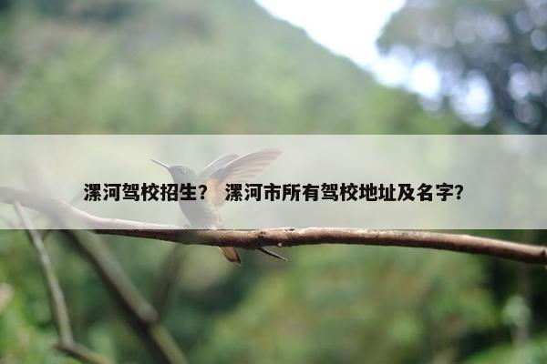 漯河驾校招生？ 漯河市所有驾校地址及名字？