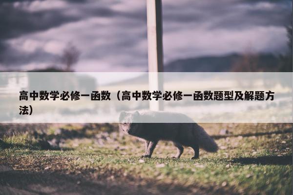 高中数学必修一函数（高中数学必修一函数题型及解题方法）