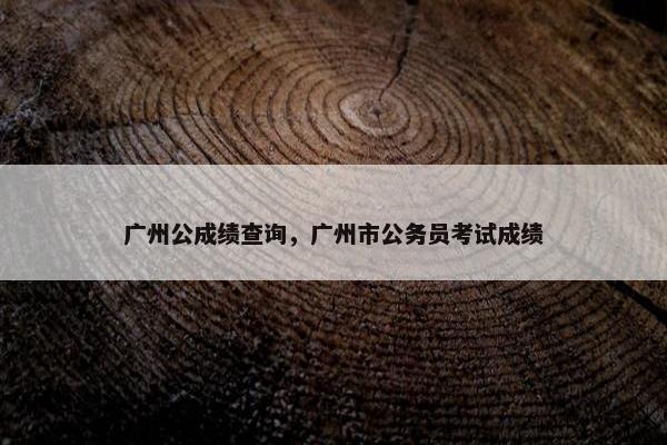 广州公成绩查询，广州市公务员考试成绩