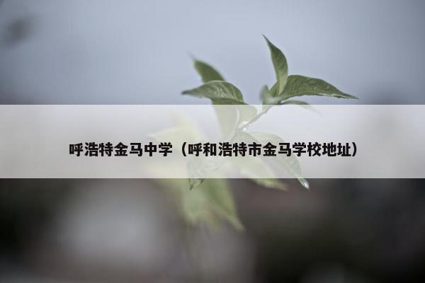 呼浩特金马中学（呼和浩特市金马学校地址）