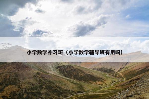 小学数学补习班（小学数学辅导班有用吗）