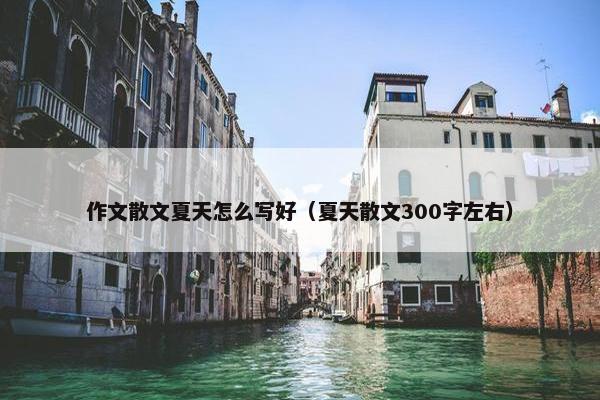 作文散文夏天怎么写好（夏天散文300字左右）