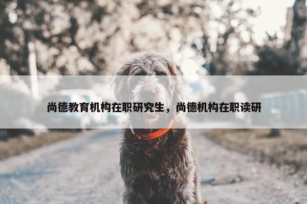 尚德教育机构在职研究生，尚德机构在职读研
