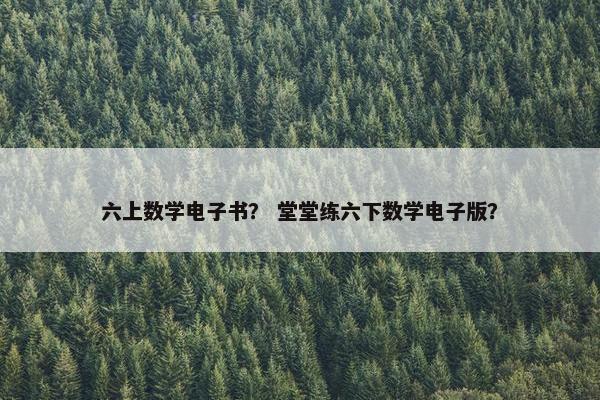 六上数学电子书？ 堂堂练六下数学电子版？