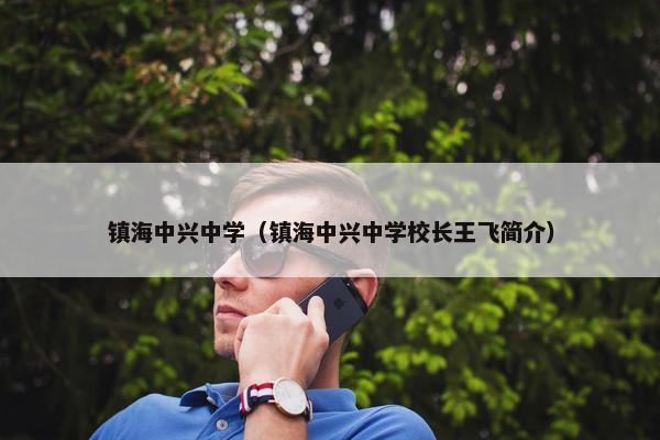 镇海中兴中学（镇海中兴中学校长王飞简介）