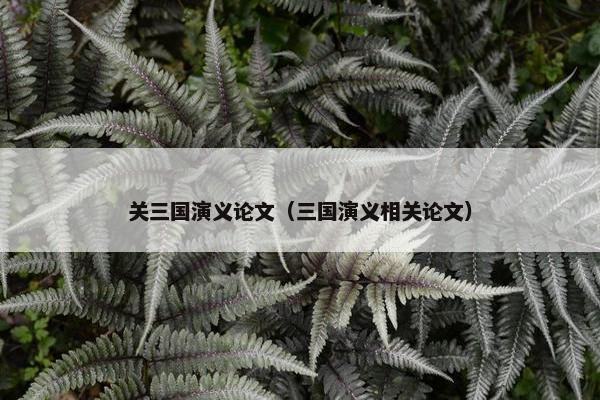 关三国演义论文（三国演义相关论文）